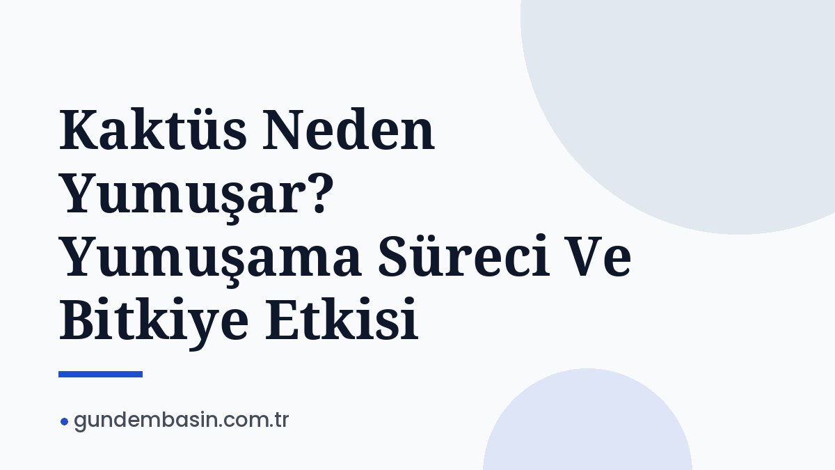 Kaktüs Neden Yumuşar? Yumuşama Süreci Ve Bitkiye Etkisi